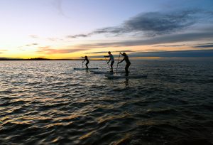 SUN paddleboard SUP