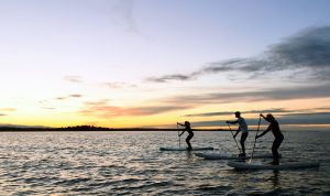 SUN paddleboard SUP